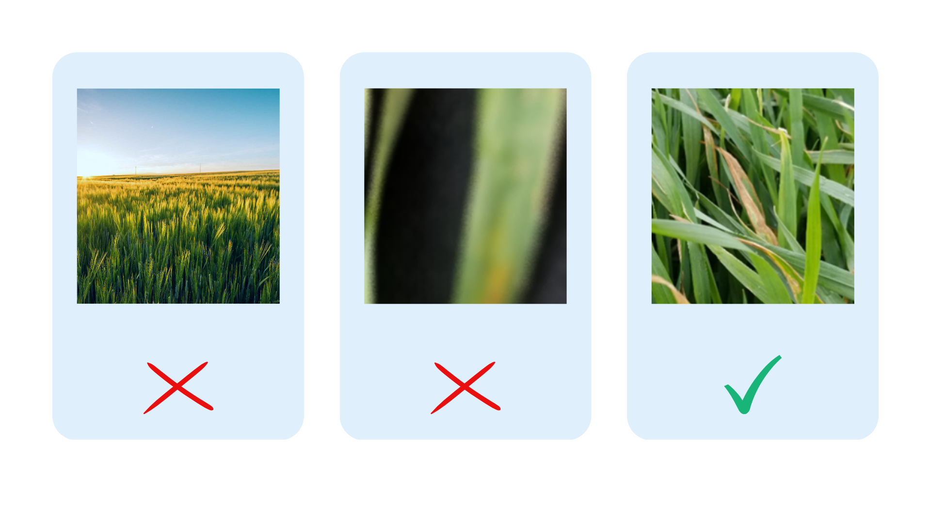 how-to-take-photos.png
