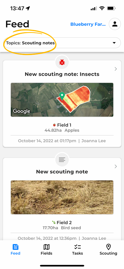 display-only-scouting-notes.jpg