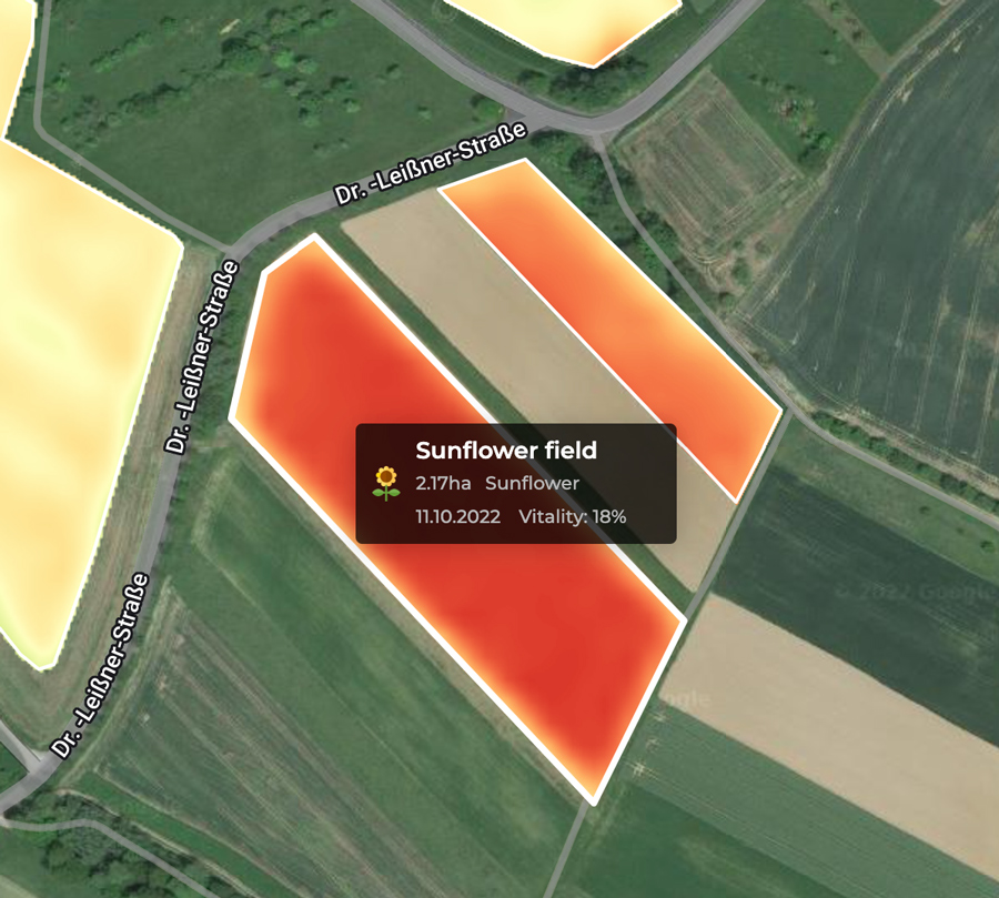 Biomass vitality all you need to know SKYFLD® Mobile